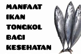 Manfaat Ikan Tongkol Jurnal